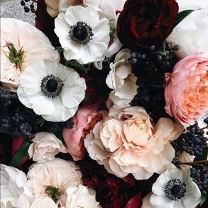 Meet your Posher, Ceci